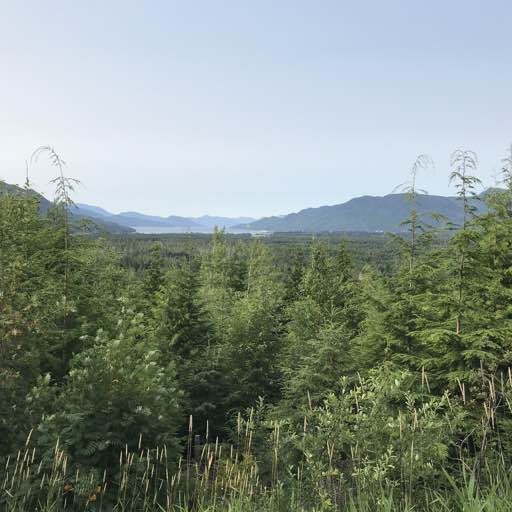 Stacks Image 19